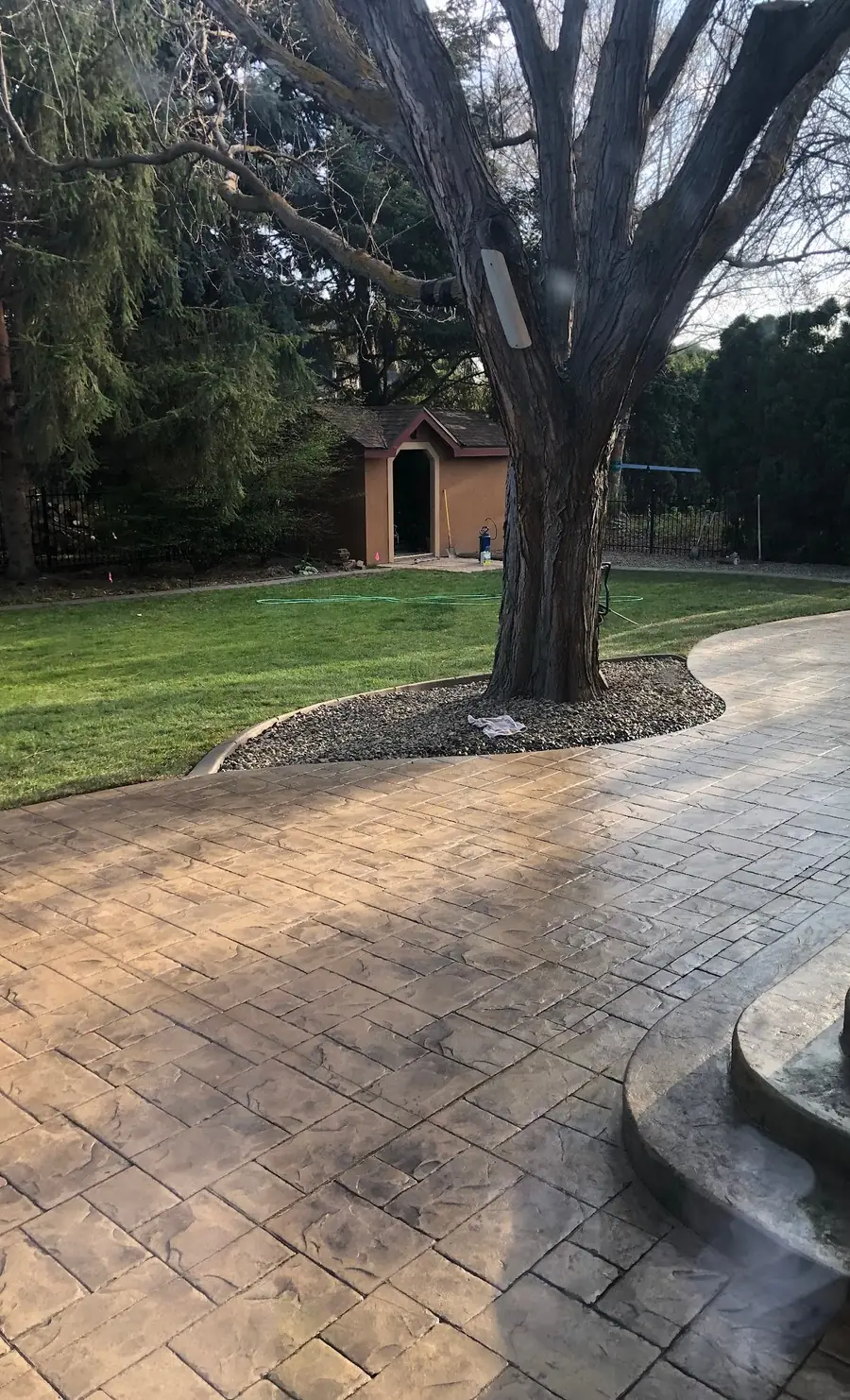 A stamped-concrete terrace curving around the trunk of a mature tree, with lawn beyond